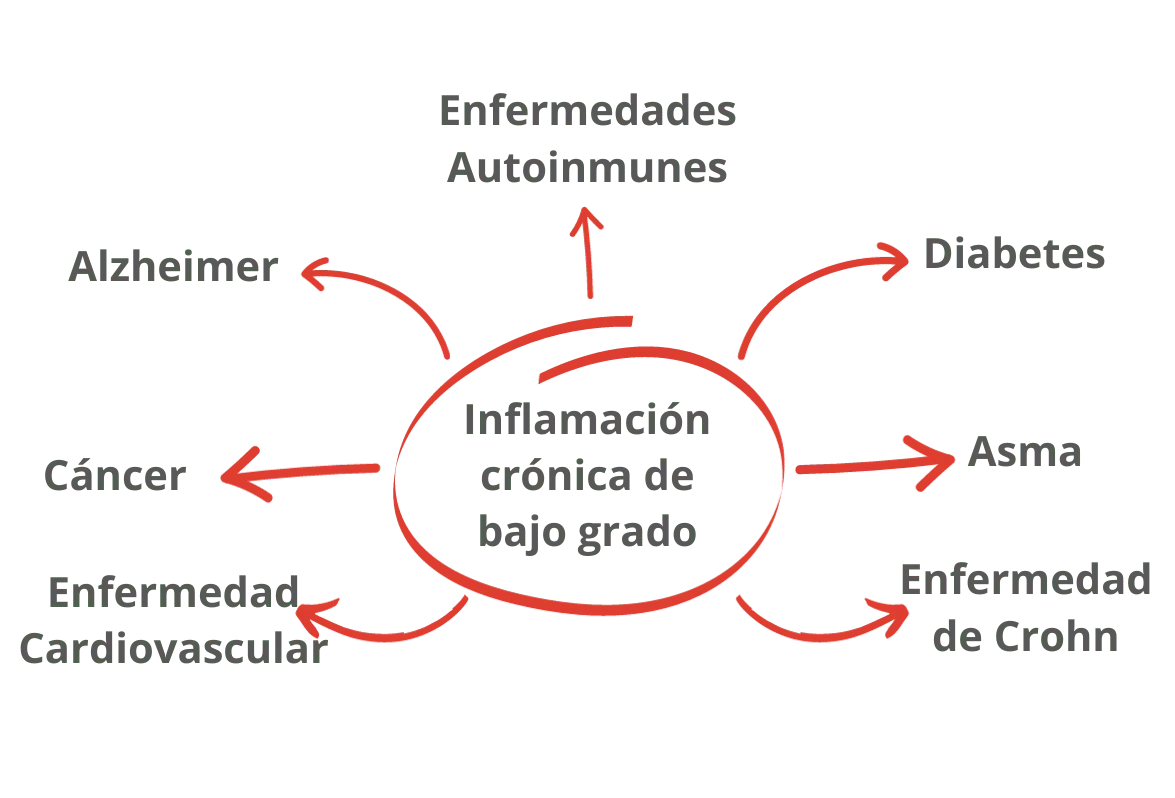 Glycoproteins-Glicoproteínas.jpg