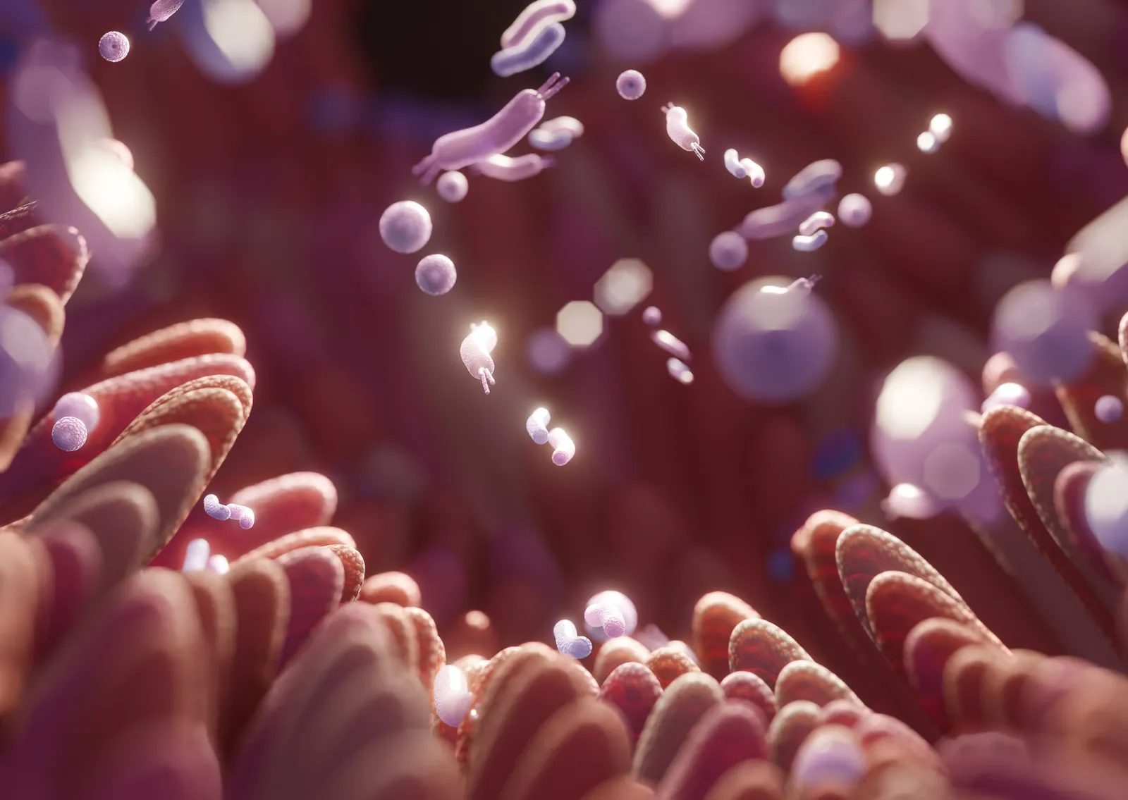 Gut microbiota