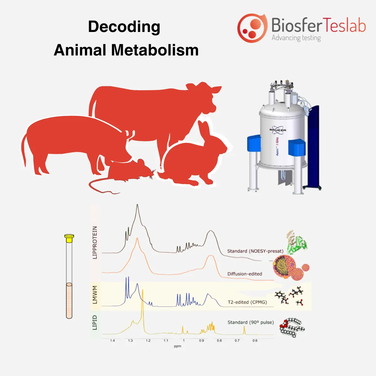 NMR metabolomics in animal models