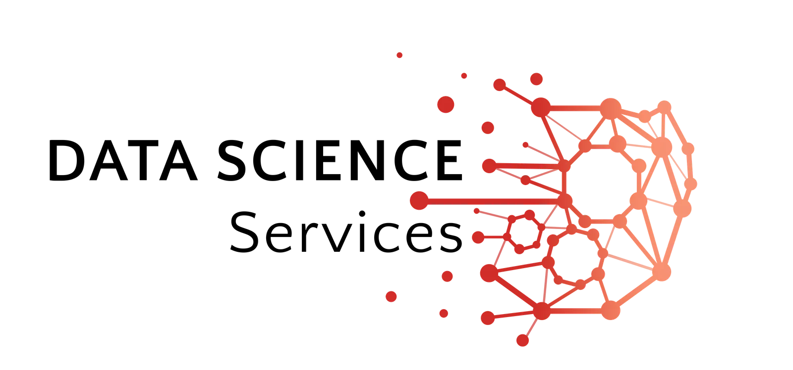 data science services logo png