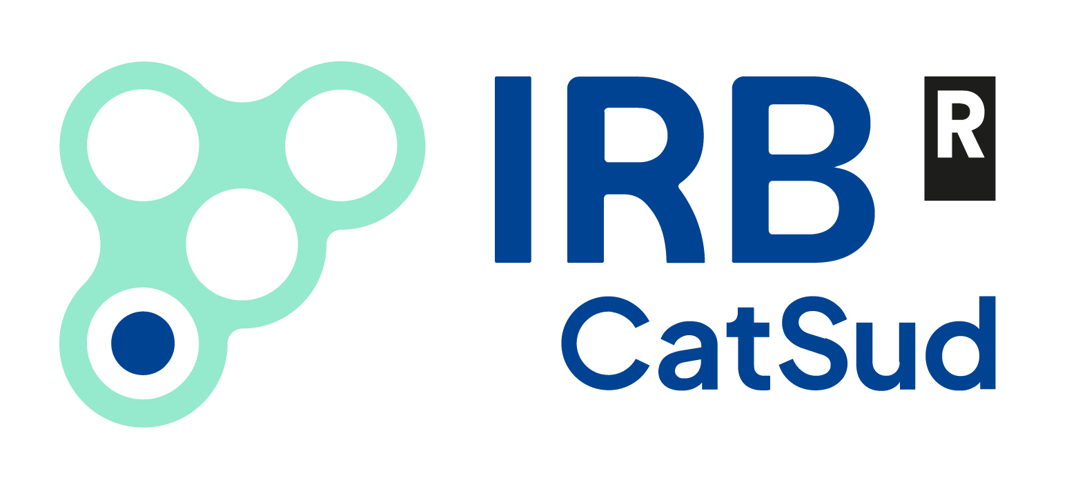 Institut de Recerca Biomèdica Catalunya Sud