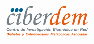 Ciberdem