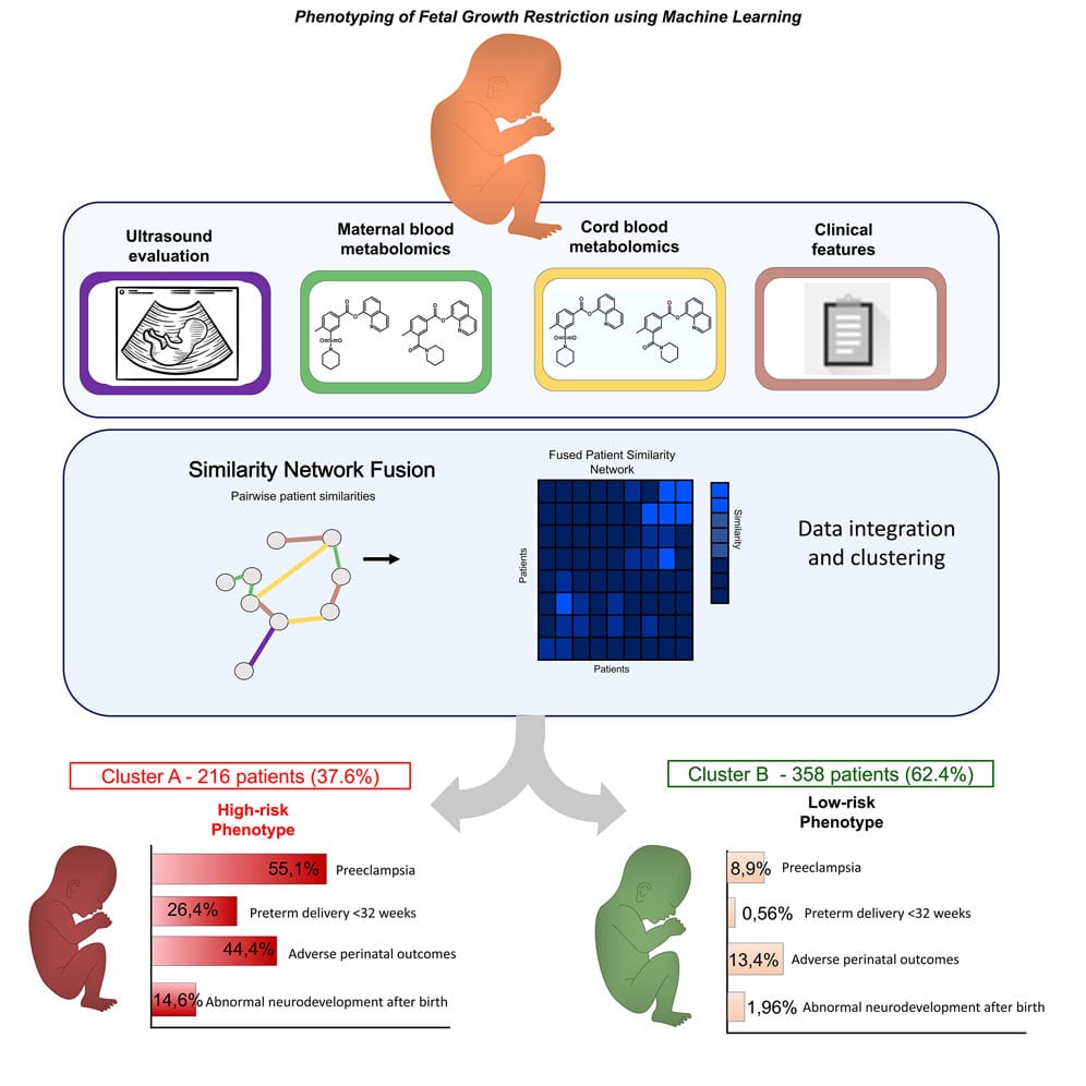 Phenotyping of fetal growth restriction using machine learning