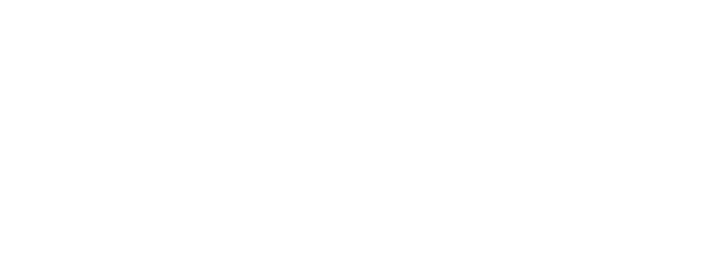 Data-Science-Services-logo-blanco.jpg