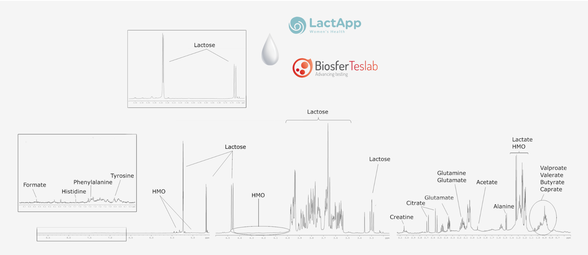 Versatility of NMR-Versatilidad de la RMN-LactApp