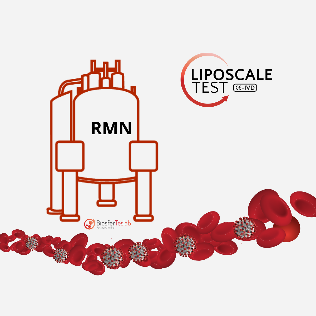 Decoding Animal Metabolism (2)