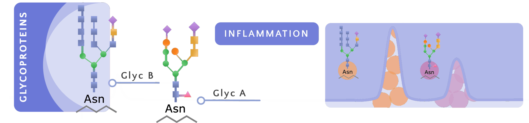 Low-Grade Inflammation and Glycoproteins After Metabolic Surgery